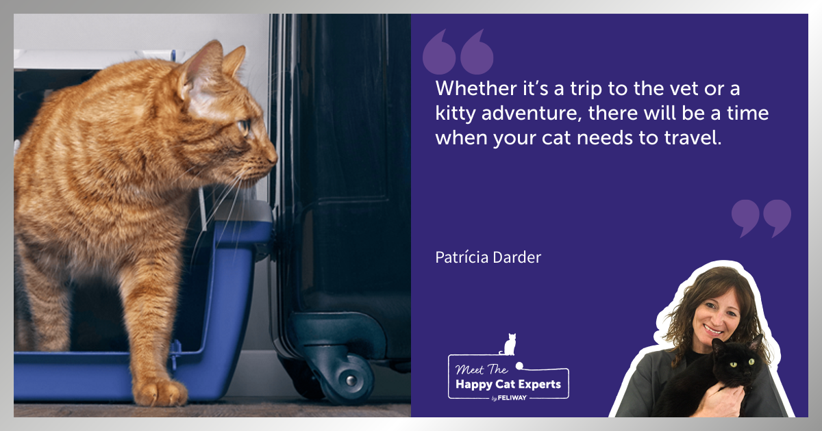 How to Stop Your Cat Getting Stressed When Travelling