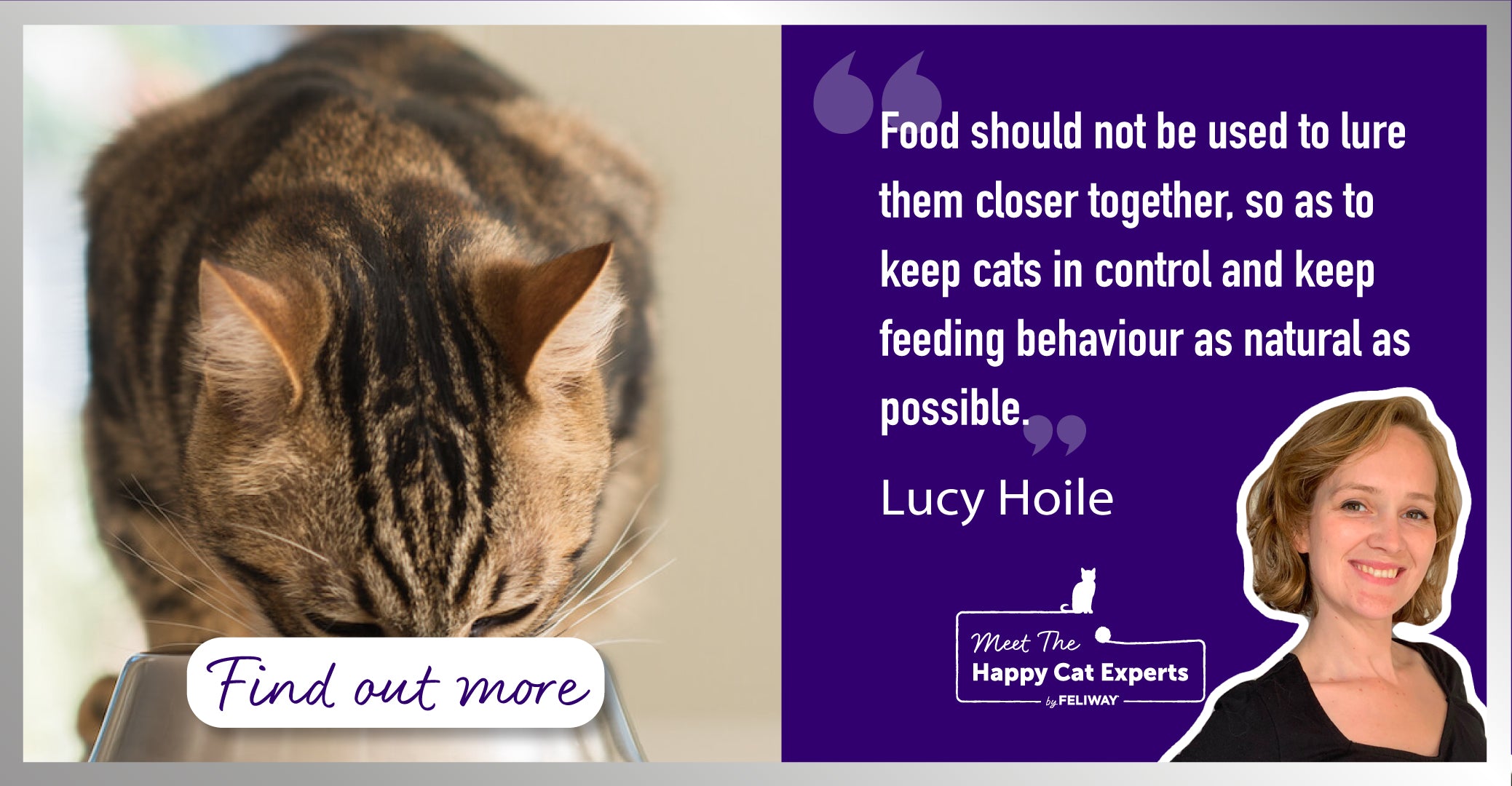 Happy Cat Expert: How to Feed Cats in a Multi-Cat Household