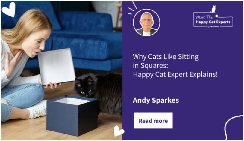 C:\Users\u435613\Downloads\Woman opening a small cardboard box while a black cat inspects.