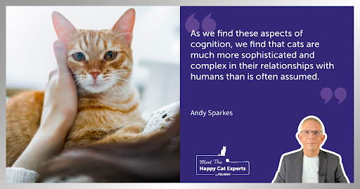 Ginger cat sitting on owner’s lap