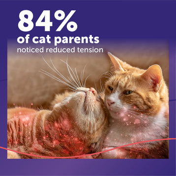 FELIWAY® Multicat Refill