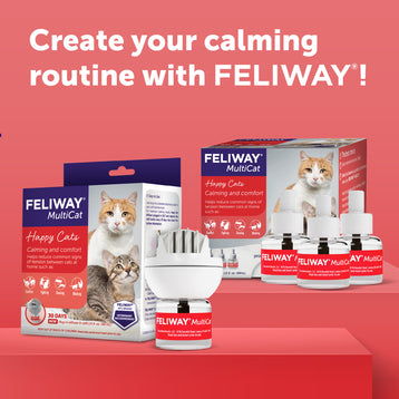 FELIWAY® Multicat Refill
