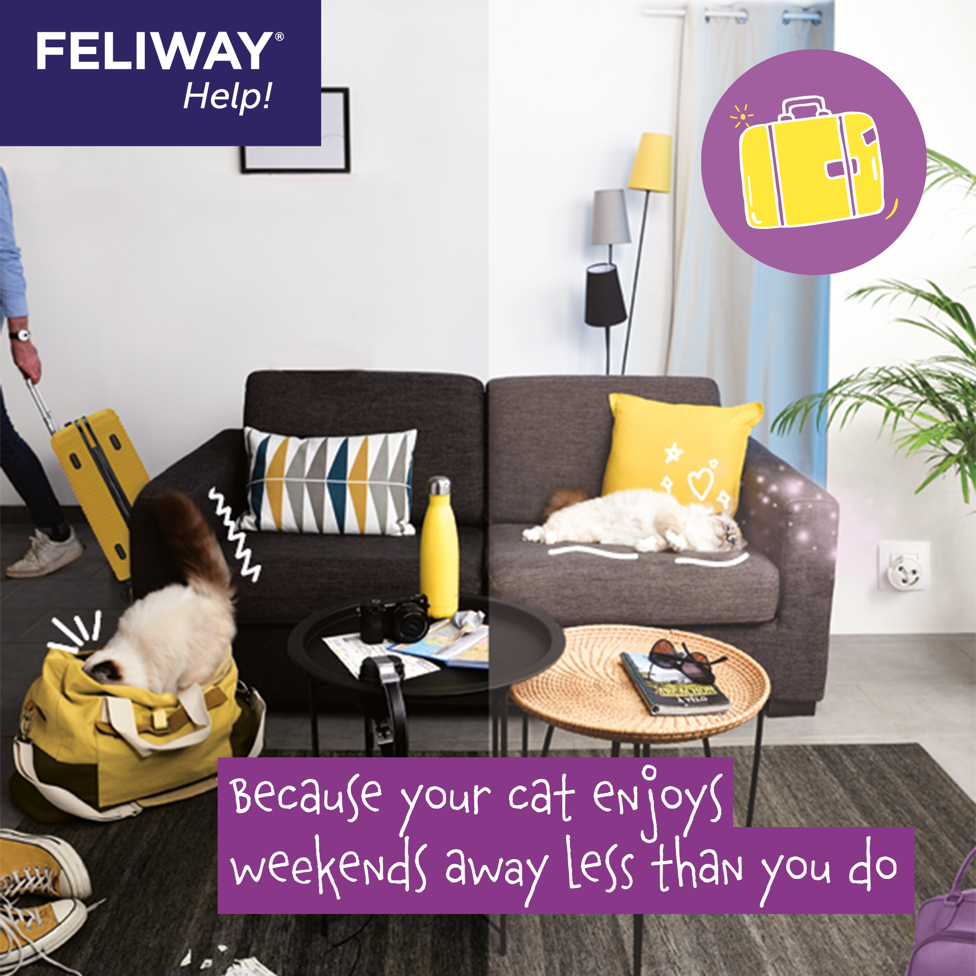 FELIWAY® Help! Diffuser Kit